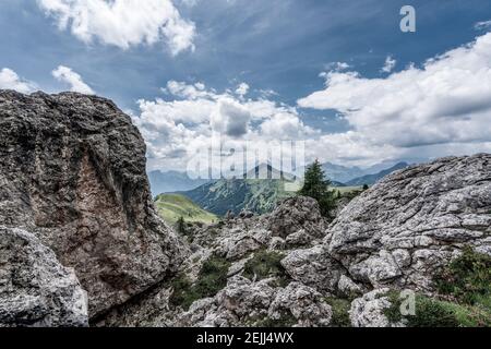 Piccolo albero sulle rocce delle Dolomiti, Italia. Sentiero escursionistico nella riserva naturale delle Dolomiti di Ampezzo. Foto Stock