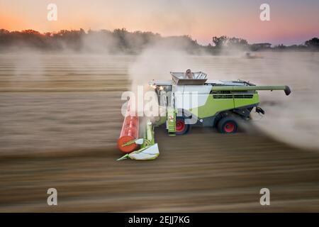 Movimento di panoramica immagine aerea con sfocatura. La trebbiatrice lavora sul lato in movimento del campo lungo la telecamera. Vista aerea diretta utilizzando il metodo di enfatizzazione del movimento. Agricoltura Foto Stock