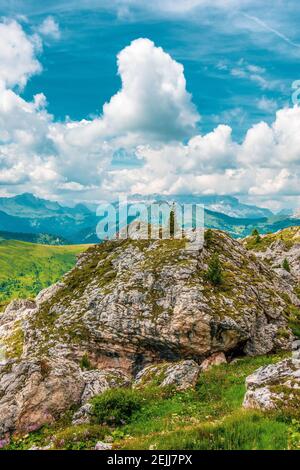 Piccolo albero sulle rocce delle Dolomiti, Italia. Sentiero escursionistico nella riserva naturale delle Dolomiti di Ampezzo. Foto Stock