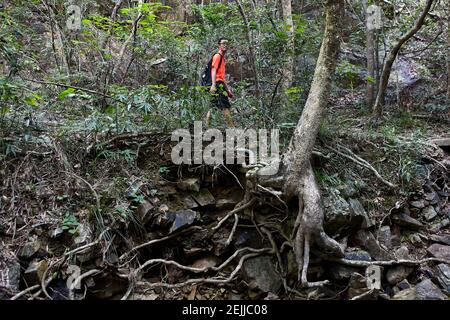 Eroso banca di un piccolo fiume che si nutre in a. Il serbatoio intermedio Tai Tam Foto Stock