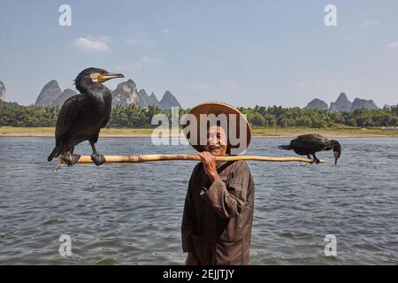 Il metodo tradizionale di pesca nel fiume Lijiang era quello di utilizzare cormorani addestrati. Un laccio è stato messo intorno ai loro colli per permettere agli uccelli di deglutire Foto Stock