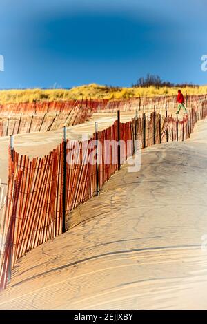 Recinzione da neve con ombre lungo la sabbia che si dondeggia nel vento vicino al Ludington state Park Beach House sul lago Michigan vicino a Ludington, Michigan, USA. Ludington, S. Foto Stock