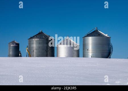 Sanilac Township, Michigan - contenitori di stoccaggio cereali su una fattoria del Michigan in inverno. Foto Stock