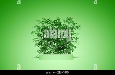 Espositore vuoto con sfondo in bambù - rendering 3D Foto Stock