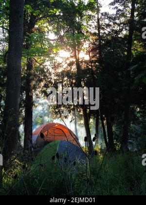 Camping in tende nella foresta di prima mattina sunrise outdoor adventure Foto Stock