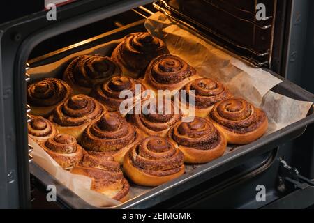 La donna toglie dal forno gustosi panini alla cannella cotti al forno con una crosta ruda Foto Stock