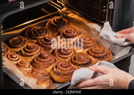 La donna toglie dal forno gustosi panini alla cannella cotti al forno con una crosta ruda Foto Stock