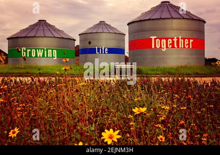 I silos spiegano lo slogan "Growing Life Together" (crescere insieme la vita) ad Harvest Green, un'agrià pianificata dalla comunità, il 27 settembre 2017, a Richmond, Texas. Foto Stock