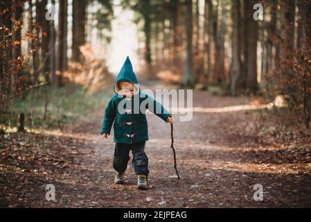 Bambino che cammina con un bastone nella foresta Una giornata di sole in autunno Foto Stock