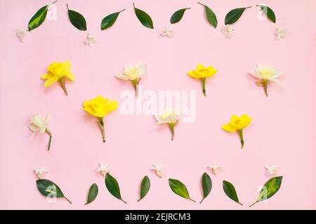 Composizione primaverile realizzata con fiori di narcisi e foglie verdi su sfondo rosa. Disposizione piatta. Concetto all'8 marzo, mather giorno. Primavera pasqua sfondo Foto Stock