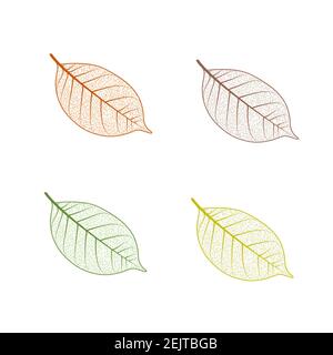 Set di lamelle ad albero. L'autunno lascia un'illustrazione vettoriale isolata su sfondo bianco. Clip art decorazione caduta Illustrazione Vettoriale