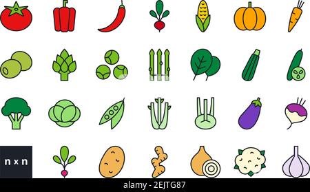 Set di icone di colori lineari vettoriali. Verdure. Contorno, forma, contorno isolato su bianco. Linea sottile. Design moderno. Cibo sano e vitamine Illustrazione Vettoriale