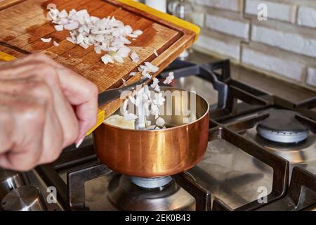 Cucinare a casa in cucina secondo la ricetta di Internet. Donna aggiunge mini cipolle tritate al piatto. Ricetta passo per passo. Foto Stock