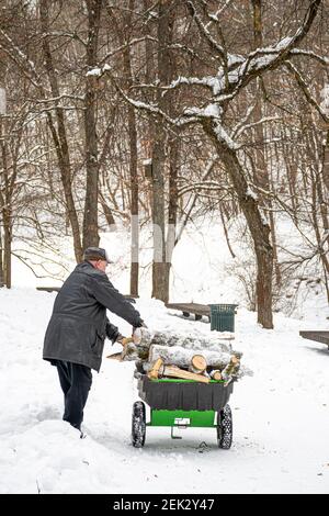 Uomo che raccoglie legno o rami con una carriola in inverno dopo la nevicata, verticale Foto Stock