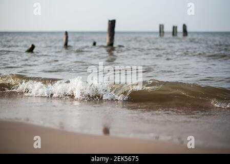 Vecchio palo in legno per demolitori d'onda su una riva del Mar Baltico vicino a Mazirbe, Lettonia Foto Stock