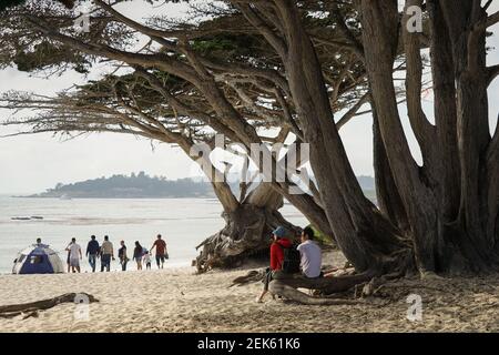 Persone su una spiaggia seduto all'ombra del cipresso alberi e guardando fuori l'acqua Foto Stock