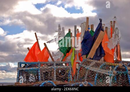 Il porto, Arbroath, Angus Scozia Foto Stock