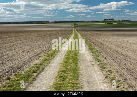 Una lunga strada di campagna tra grandi campi arati, un paesaggio rurale di primavera Foto Stock