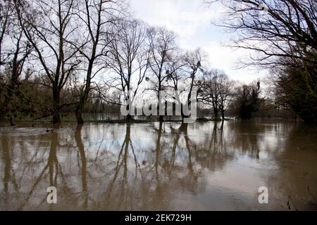 Record inondazioni fiume Canche, Hauts de France vicino montreuil sur Mer. Foto Stock