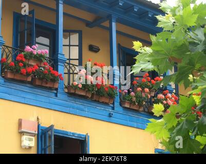 Bel balcone tradizionale decorato con fiori nella città di Oviedo, Asturie Foto Stock