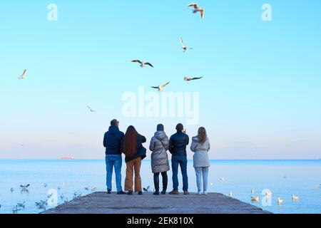 Gruppo di amici che alimentano gabbiani sulla spiaggia Foto Stock