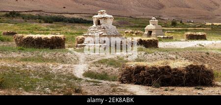 Vista degli stupa nella valle di Zanska Foto Stock