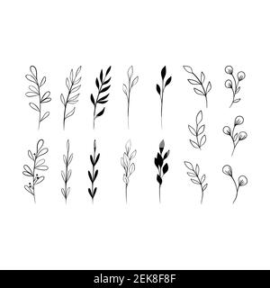 Raccolta di erbe. Set di foglie naturali line art. Illustrazione semplice ed elegante disegnata a mano. Elementi floreali vintage. Illustrazione vettoriale Illustrazione Vettoriale