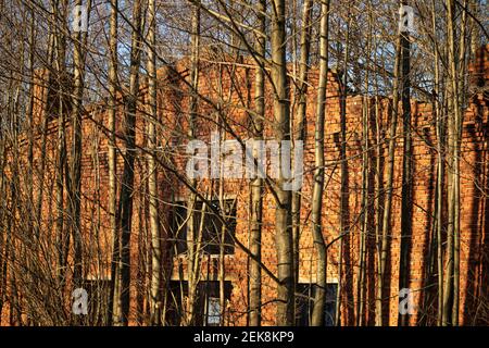 Una casa abbandonata in rovina di mattoni rossi si erge da sola dietro il alberi Foto Stock