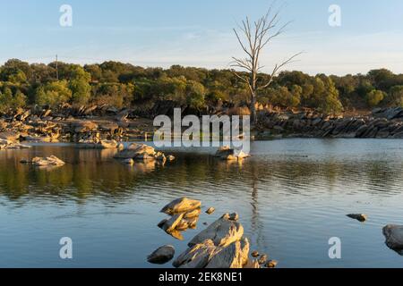 Bellissimo albero con rocce sul fiume Guadiana su un Giornata estiva ad Alentejo, al confine tra il Portogallo e. Spagna Foto Stock