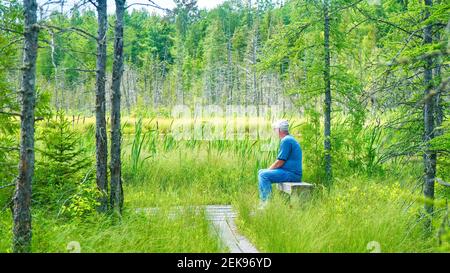 Eastern Townships, Quebec, Canada - 7 luglio 2012. Un uomo anziano si siede da solo su una panchina di legno, circondata dalla natura, in un parco naturale paludoso. Foto Stock