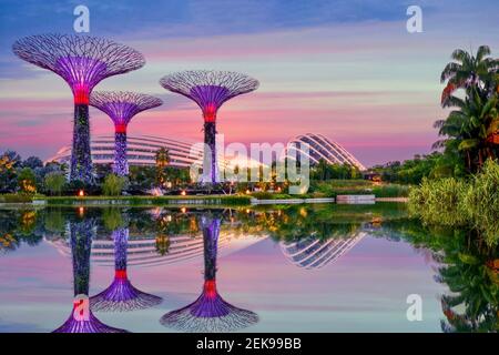 Singapore, Singapore - 12 agosto 2014. Vista serale dei Gardens by the Bay, inclusi i Supertrees illuminati, il Flower Dome e la Cloud Forest. Foto Stock