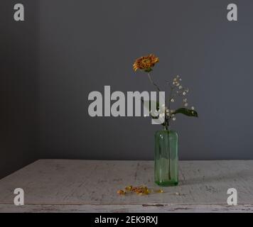 Un piccolo bouquet di fiori secchi con petali che cadono. Minimalismo. Foto Stock