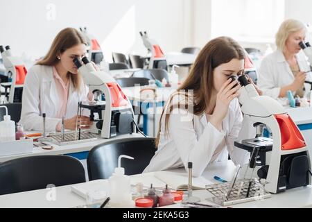 Ricercatori in camici bianchi che lavorano con microscopi in laboratorio Foto Stock