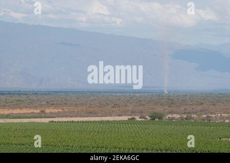 Vortice su un paesaggio, Valle di Fatima, Chilecito, la Rioja Provincia, Argentina Foto Stock