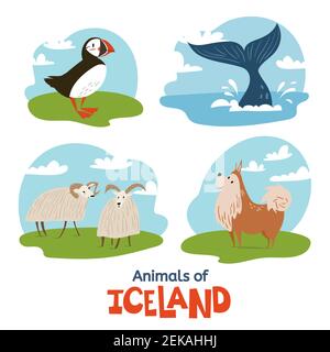 Animali d'Islanda in un design piatto e moderno Illustrazione Vettoriale