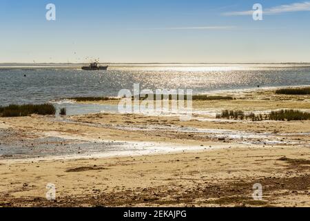 Splendido paesaggio del Parco Naturale di Ria Formosa con la barca di pescatori e uccelli volanti, Olhao, Algarve, Portogallo Foto Stock