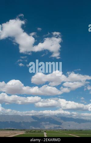 Nuvole su campi, Chilecito, la Rioja Provincia, Argentina Foto Stock