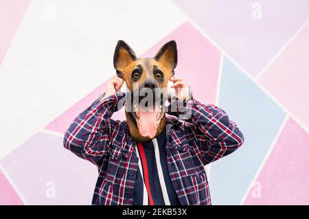 Donna che indossa una maschera da cane con cuffie mentre si sta in piedi contro multi parete colorata Foto Stock