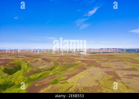 Regno Unito, Scozia, Lothian orientale, veduta aerea della fattoria eolica sulle colline di Lammermuir Foto Stock