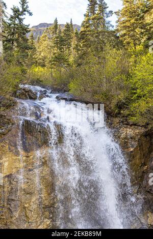 Una cascata all'inizio di giugno vicino al confine tra Canada e USA accanto alla Klondike Highway NE di Skagway, Alaska, USA Foto Stock