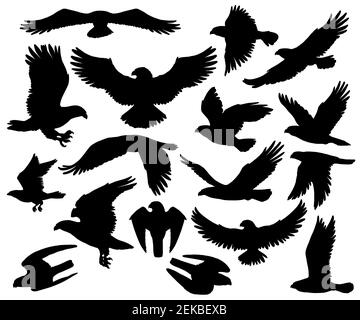 Aquile, falchi e uccelli predatori silhouette araldiche. Vettore isolato stemma araldico simboli di avvoltoi e falchi, uccelli volanti di preda an Illustrazione Vettoriale