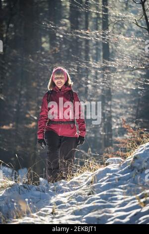 Donna che cammina nella foresta in inverno Foto Stock