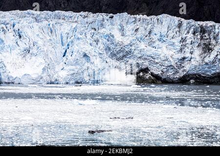 Un piccolo pezzo di ghiaccio che si calvica dalla faccia rotta del ghiacciaio Margerie, nell'insenatura di Tarr di Glacier Bay, Alaska, USA Foto Stock