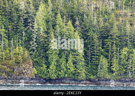 Nello stretto di Johnstone, all'estremità settentrionale dell'isola di Vancouver, British Columbia, Canada - visto da una nave da crociera che naviga nel passaggio interno Foto Stock