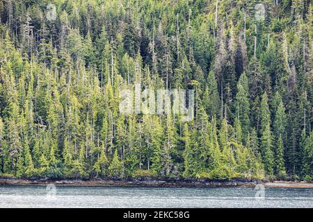 Nello stretto di Johnstone, all'estremità settentrionale dell'isola di Vancouver, British Columbia, Canada - visto da una nave da crociera che naviga nel passaggio interno Foto Stock