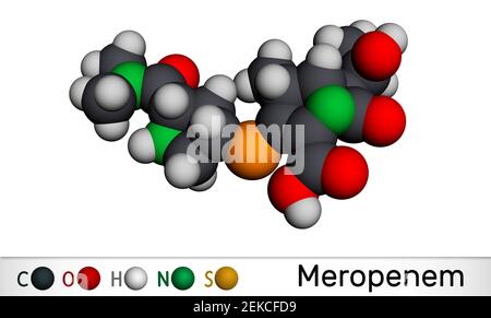 Molecola di Meropenem. Si tratta di un antibiotico carbapenem ad ampio spettro. Modello molecolare. Rendering 3D. Illustrazione 3D Foto Stock