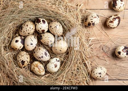 Diverse uova di quaglia in un nido decorativo fatto di paglia su un tavolo di legno, flatlay. Foto Stock