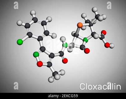Molecola di cloxacillina. Si tratta di un farmaco antibatterico, semi-sintetico beta-lattamasi resistente antibiotico penicillina. Modello molecolare. Rendering 3D. Illus 3D Foto Stock
