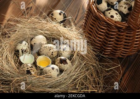 Diverse uova di quaglia in un nido decorativo di paglia e in un cestino su un tavolo di legno primo piano. Foto Stock