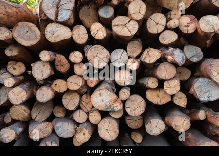 primo piano della parete di pietra di tessitura Foto Stock